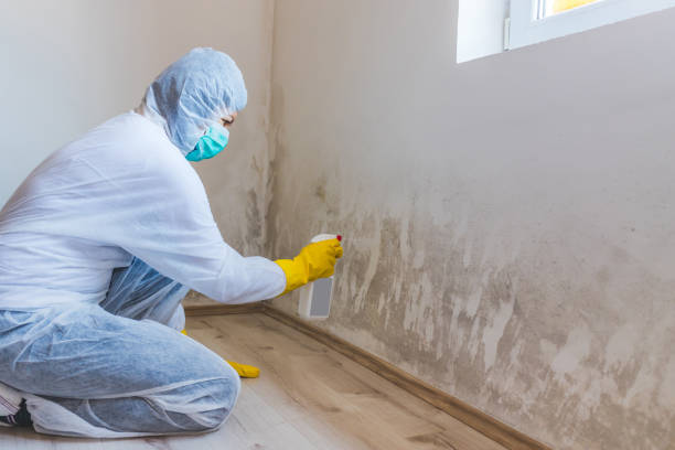 Mold Remediation specialist working in Tacoma